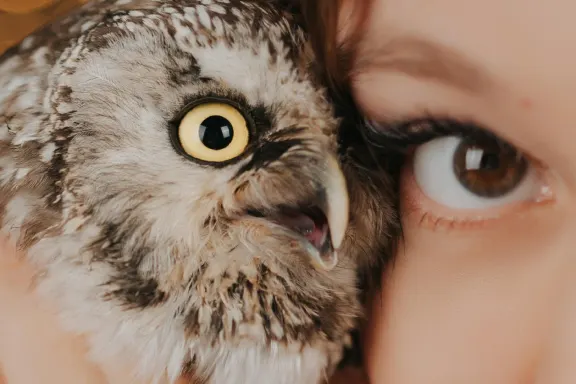 Kasino Welcome Bingo Podpora